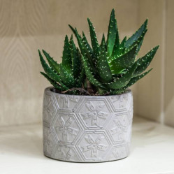 Кашпо кер. Шале VipSet 1,25л серый (14см)