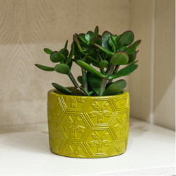 Кашпо кер. Шебби VipSet 0,9л оливка (13,2см)