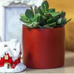 Кашпо кер. Эко VipSet 0,75л бордо (11,9см)