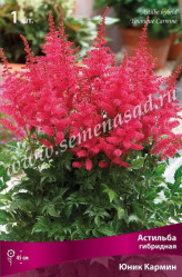 Астильба гибр. Юник Кармин (1шт./уп.) (Солн.сад)
