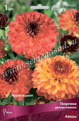 Георгина Айкон декор. (1шт./уп.) (Солн.сад)