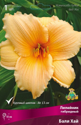 Лилейник гибр. Бали Хай (1шт) (Солн.сад)