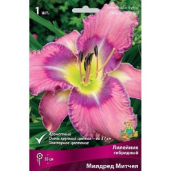 Лилейник гибр. Милдред Митчел (1шт./уп.) (Солн.сад)