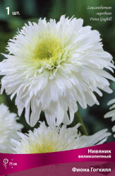 Нивяник великолепный Фиона Гогхилл (Поиск)