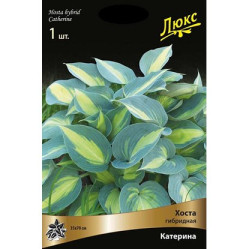 Хоста гибр. Катерина (1шт./уп.) (Солн.сад)
