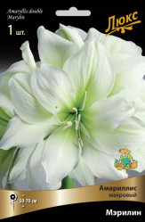 Амариллис махр. Мэрилин (1шт./уп.) (Солн.сад)