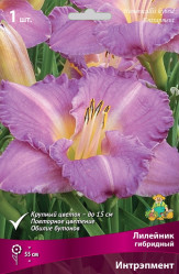 Лилейник гибр. Интрэпмент (1шт./уп.) (Солн.сад)
