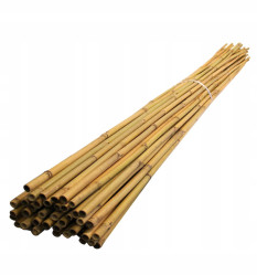 Бамбук поддержка 240см. 18/20мм