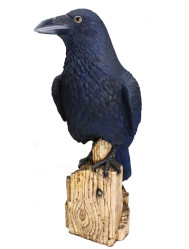 Фигура Ворон L40 W30 H82 см 713444/F699
