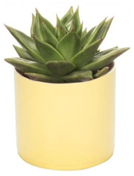 Кактусник Тренд 0,45л желтый (Serinova)