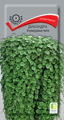 Дихондра Изумрудные нити 5шт (Поиск)