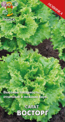 Салат Восторг 1гр. (Поиск)