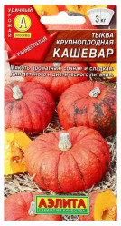 Тыква Кашевар 2гр. (Аэлита)