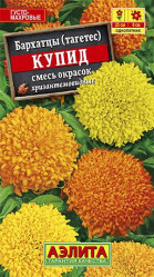 Бархатцы Бархатцы Купид смесь окрасок хризантемовидные (Аэлита)