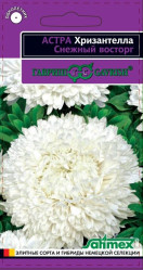Астра Хризантелла Снежный восторг 0,05 г (Гавриш)
