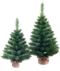 Ель Боярская настольная 0,5м. Max Christmas ЕНБ05