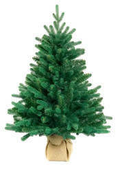 Ель Европейская настольная 0,6м. Max Christmas ЕЕС06