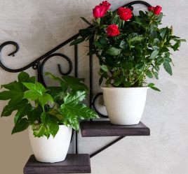 Кованая Подставка настенная с деревом Лестница на 2 цветка 13-812