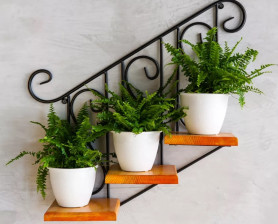 Кованая Подставка настенная с деревом Лестница на 3 цветка 13-813