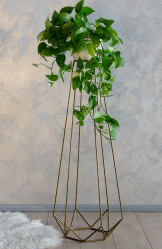 Стойка под флористику D-15 66-439