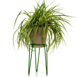 Стойка под цветы 66-409