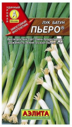 Лук батун Пьеро (Аэлита)