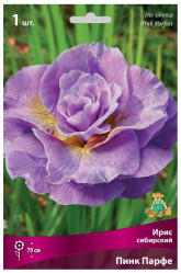 Ирис сибирский Пинк Парфе (1шт./уп.) (Солн.сад)