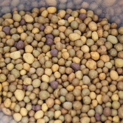 Осмокот Exact Standart High К 5-6мес. уд-е пролонгиров.действия (пак.200гр.)