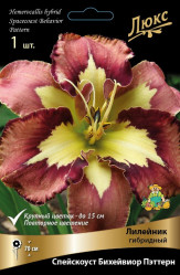 Лилейник гибр. Спейскоуст Бихейвиор Пэттерн (1шт./уп.) (Солн.сад)