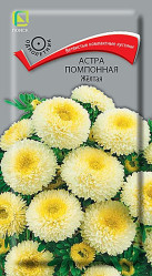 Астра помпонная Желтая 0,3гр. (Поиск)