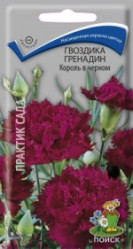 Гвоздика Гренадин Король в черном двул. 0,1гр. (Поиск)