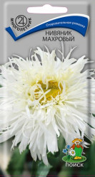 Нивяник махровый многол. 0,1гр. (Поиск)