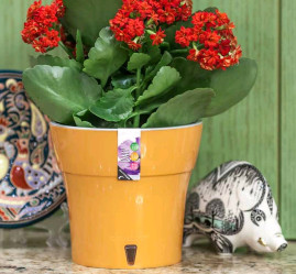 Кашпо Дали 2,1л персик-серый