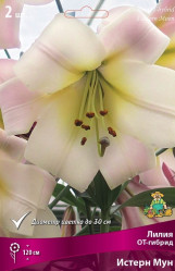 Лилия Истерн Мун (от-гибрид) (уп/2шт.) (Солн.сад)