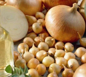 Лук-севок Штуттгартер Ризен фр.10/21 фас.0,5кг.