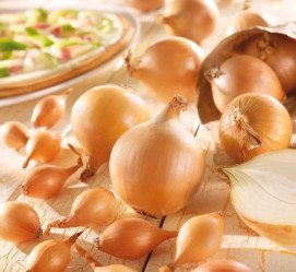 Лук-севок Стурон фр.10/21 фас.0,5кг.