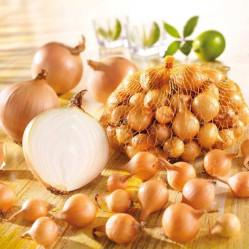 Лук-севок Сеттон фр.10/21 фас.0,5кг.