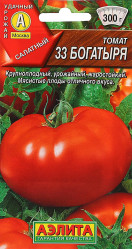 Томат 33 богатыря (Аэлита)
