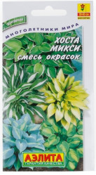 Хоста Микси, смесь окрасок 7шт. (Аэлита)