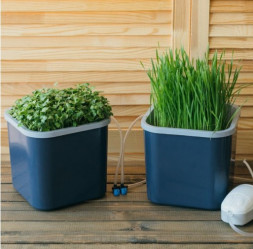 Проращиватель "Здоровья КЛАД х2" для семян 2-х модульный Графит