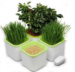 Проращиватель "Здоровья КЛАД х4" для семян 4-х модульный Белый