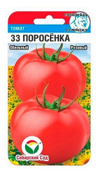 Томат 33 Поросёнка 20шт. (Сиб Сад)