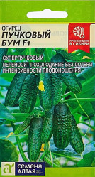 Огурцы Пучковый Бум F1 5шт. (Сем Алт)