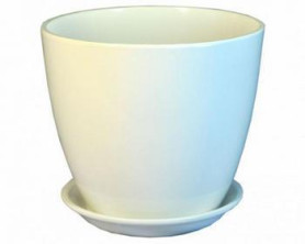 Г.кер. Глянец бутон белый 18см ГЛ 01/3