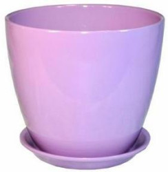 Г.кер. Глянец бутон сирен. 18см ГЛ 05/3