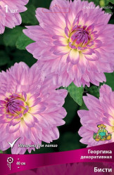 Георгина Бисти декор. (1шт./уп.) (Солн.сад)