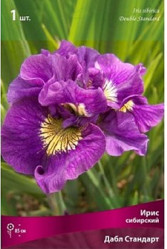 Ирис сибирский Дабл Стандарт (1шт./уп.) (Солн.сад)