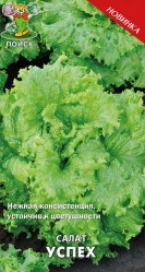 Успех 1гр. (Огород.изоб. Поиск)