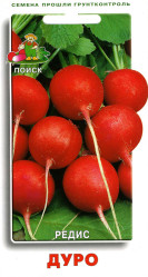 Редис Дуро Краснодарское 3гр. (Поиск)