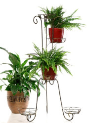 Кованая Подставка Лоза на 6 цветков 14-006-BG